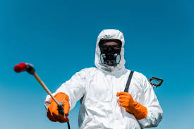 Best Outdoor Pest Control  in Hampstead, NC